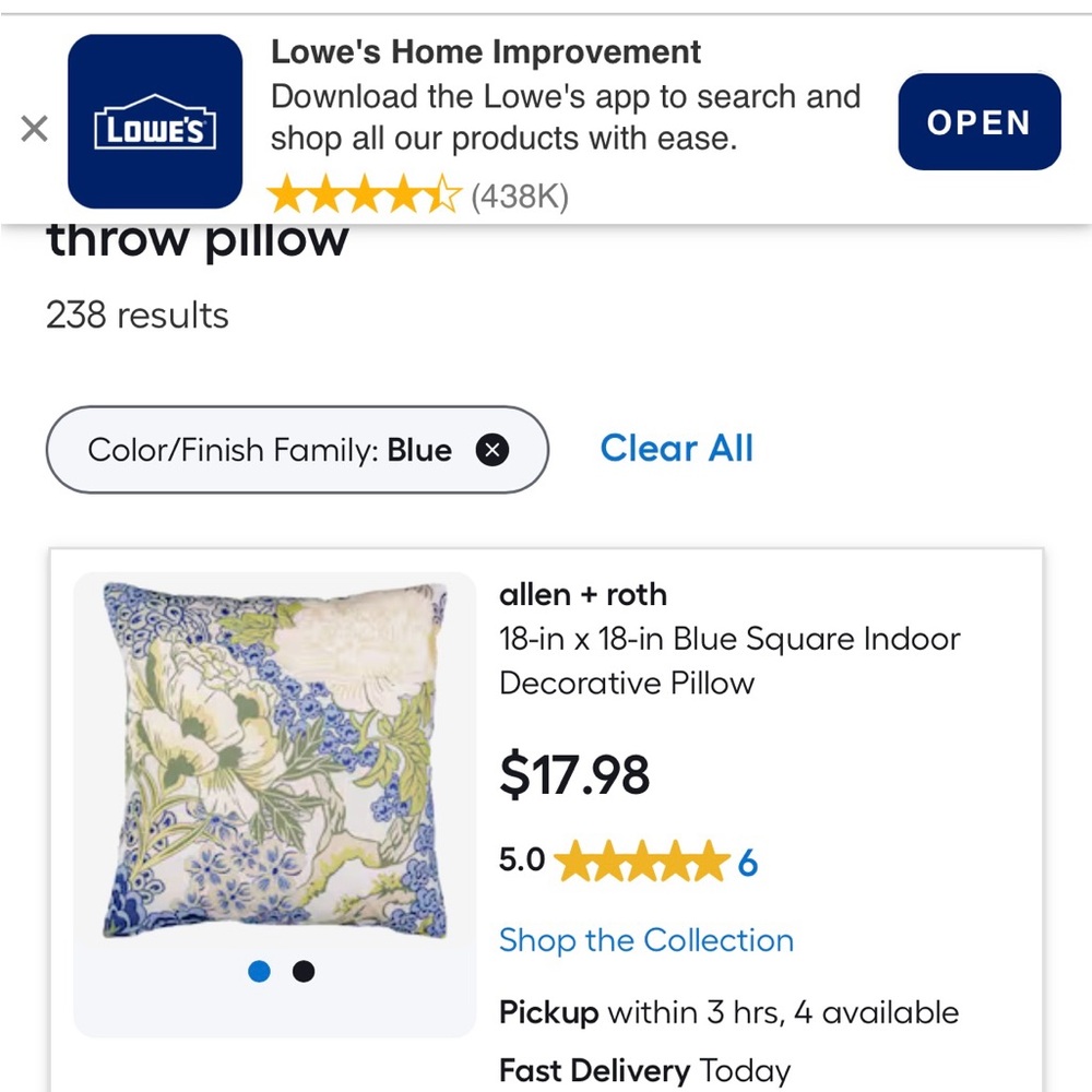 Allen + Roth Blue Floral Throw Pillows
